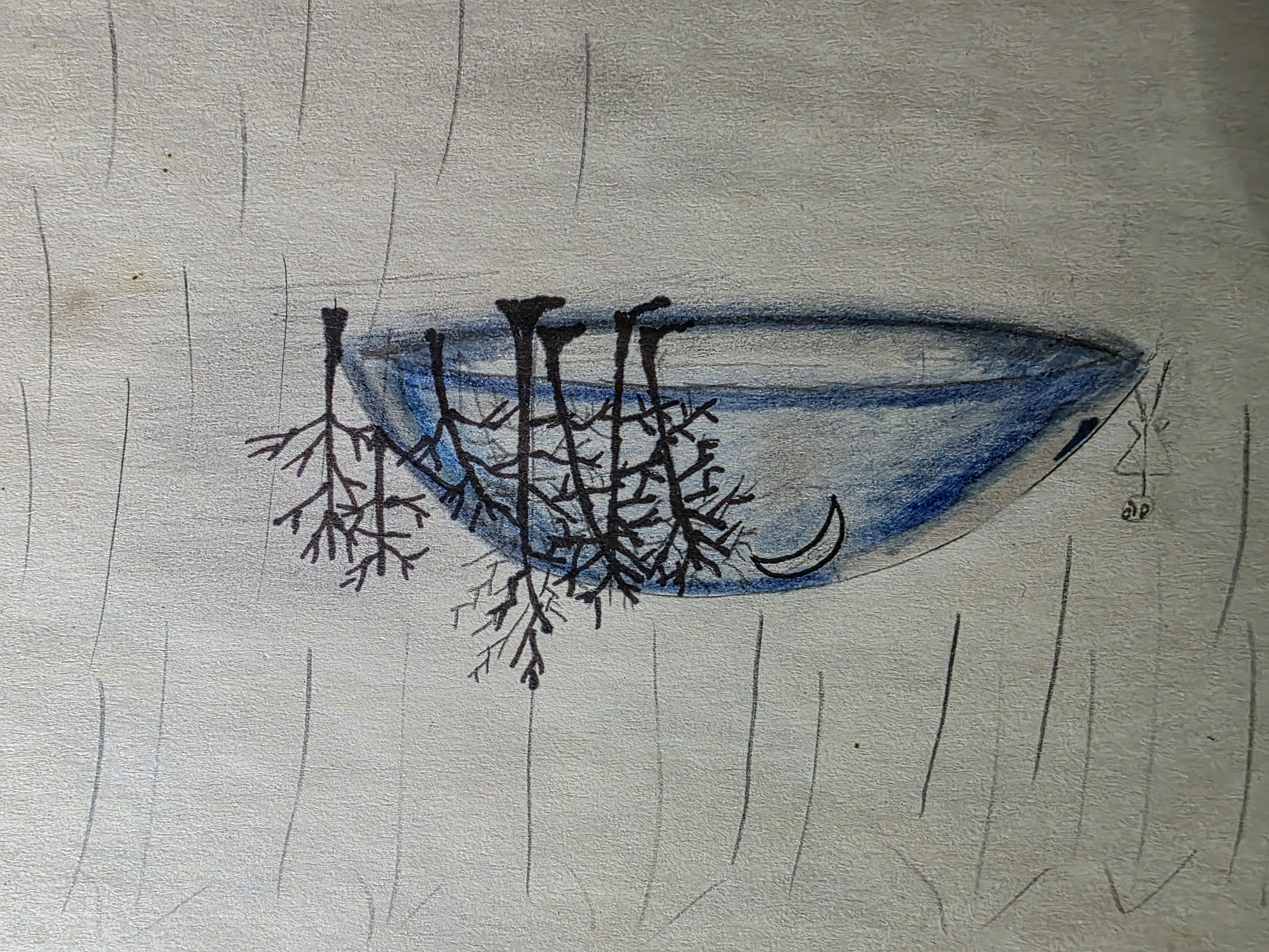 Waterdruppel in het bos, handgetekende schets door Sascha Grimm  -  SasH Grimm